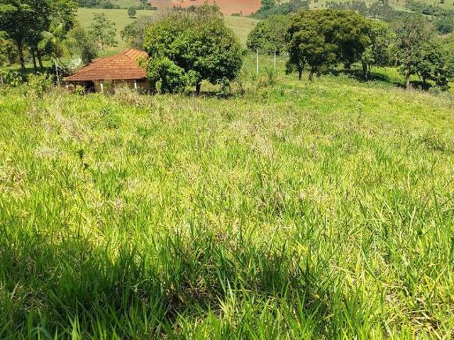 Sítio com duas casas,barracão tirar leite