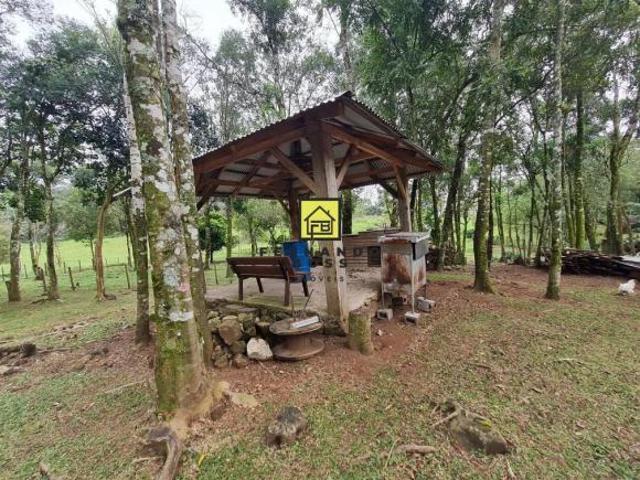 Sítio com ótima localização! Próximo do centro de Serra Grande!