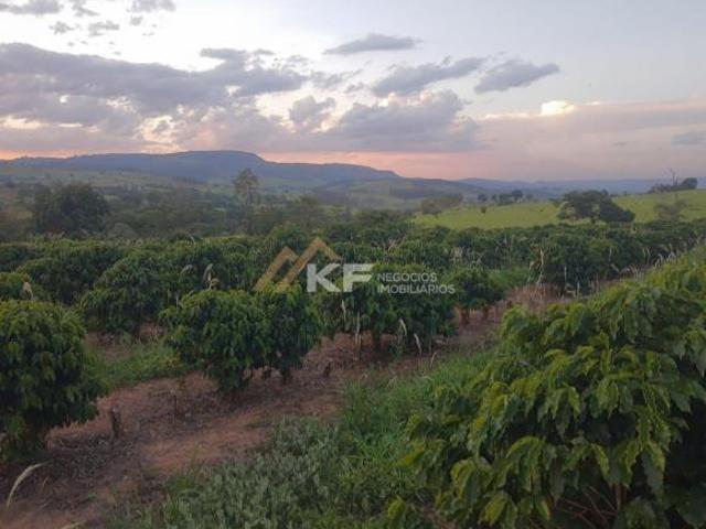 Sítio com Lavoura de café em Cassia/MG