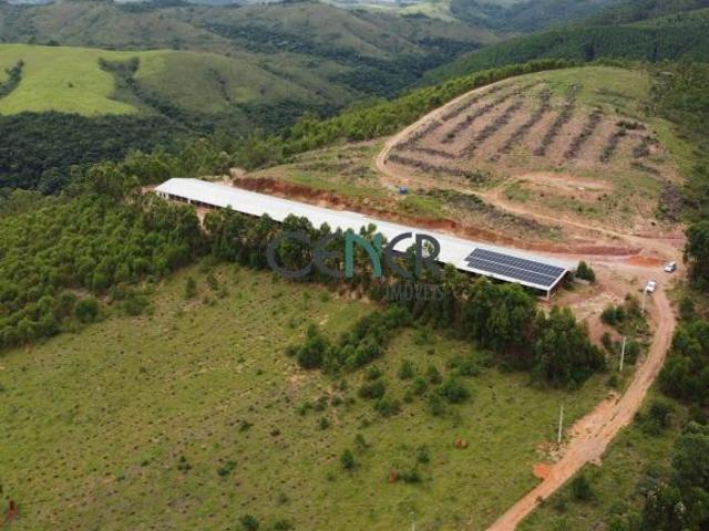 Sítio com montagem de granja toda pronta na região de Barbacena MG