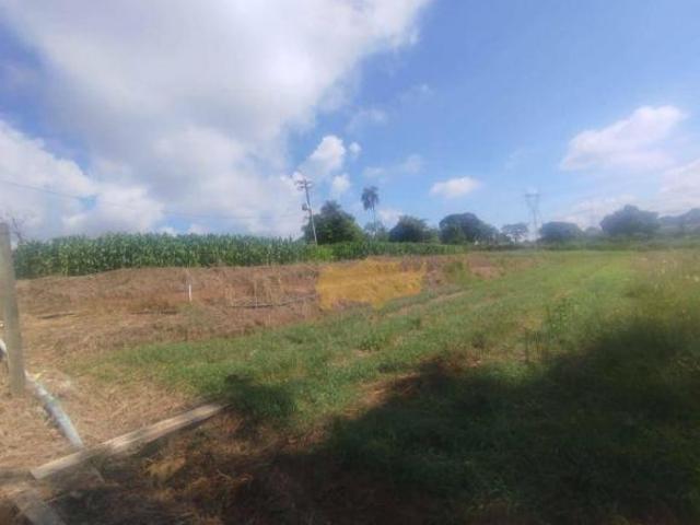 Sítio com melhorias à venda, área total de 41839 m² por R$ 3.500.000 Setor Industrial Rio Claro/