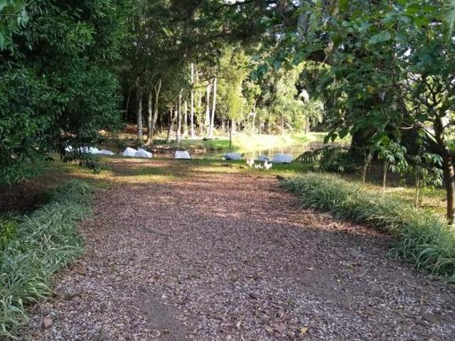 Sitio com uma Casa Simples em Taquara/RS na Localidade de Fazenda Fialho