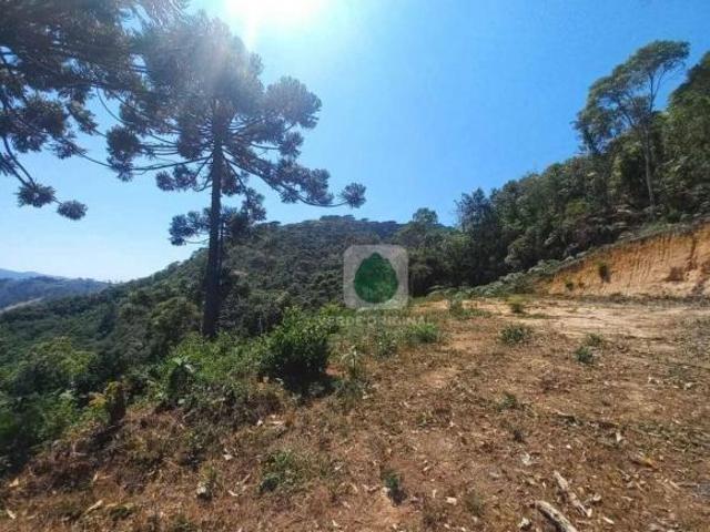 Sítio com Vista Maravilhosa, Nascente e Ribeirão, 92000 m² por R$ 3.000.000 Luminosa Brazópolis/