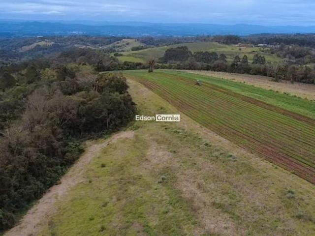 Sítio com vista panorâmica!