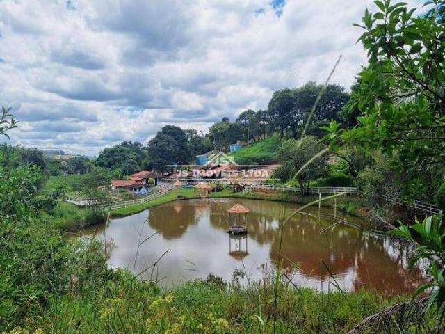 Sítio comercial á venda em Mateus leme/Igarapé