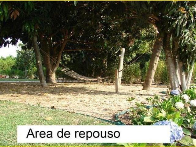 Sitio, Conchal, Conchal, SP