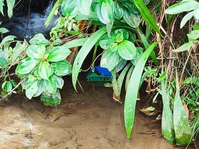 Sítio de 46 hectares em Aiuruoca, MG