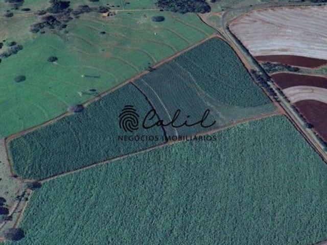 Sítio de 9,32 hectares à venda por R$ 2.900.000,00 Cravinhos/SP