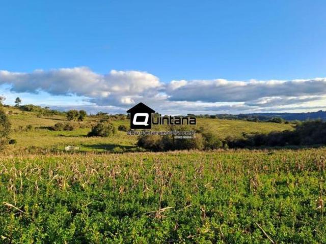 Sítio de 13 hectares no faxinal em Canguçu
