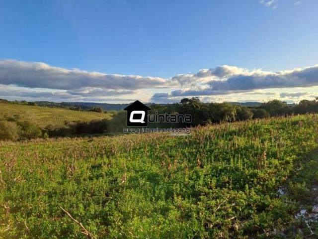 Sítio de 13 hectares no faxinal em Canguçu
