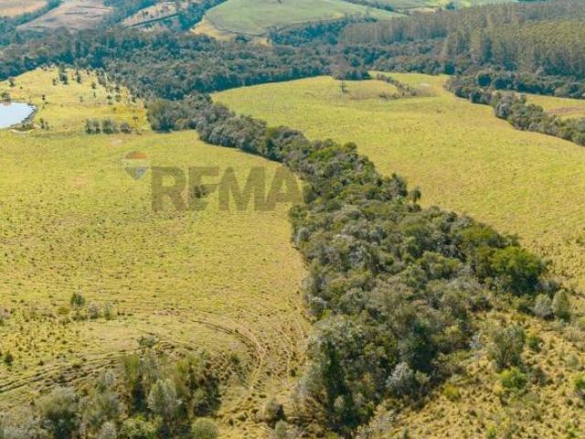 Sitio de 10 alqueires à venda em Tamara, próximo a Londrina PR