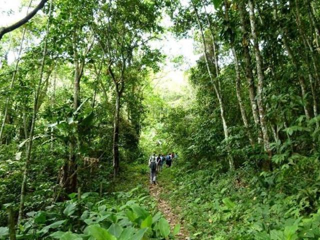Sítio de 20.000 m² na estrada para Coronel Pacheco MG