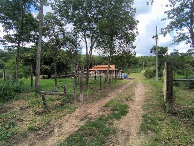 SITIO DE 20 HECTARES COM PISCINA!