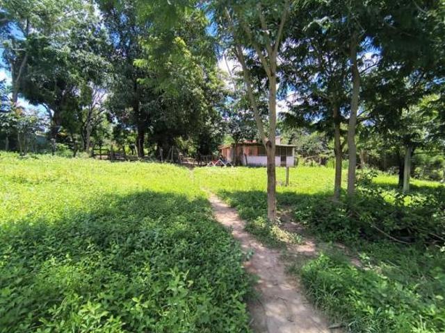 Sitio de 2 Hectares com Estrutura Completa para Avicultura!