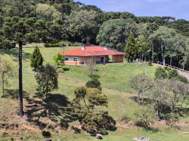Sítio de 300 mil metros de muita área verde, cachoeira e lagos, ideal pra você ou seu negócio