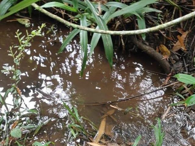 SÍTIO DE 35.000m² C/ ÁGUA POR GRAVIDADE E TERRA DE CULTURA À VENDA EM PIEDADE DOS GERAIS/MG