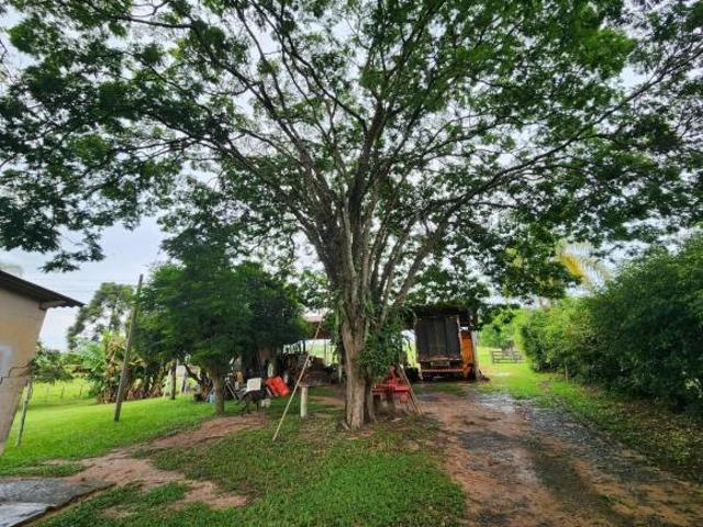 Sítio de 36.000 m² em Artur Nogueira