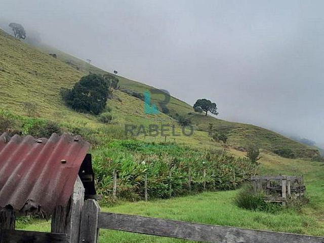 SÍTIO DE FÁCIL ACESSO EM DELFIM MOREIRA MG
