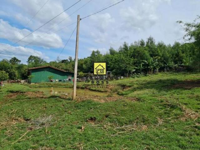 Sítio dentro da cidade pronto para morar !