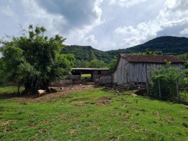 Sítio dentro da cidade pronto para morar !