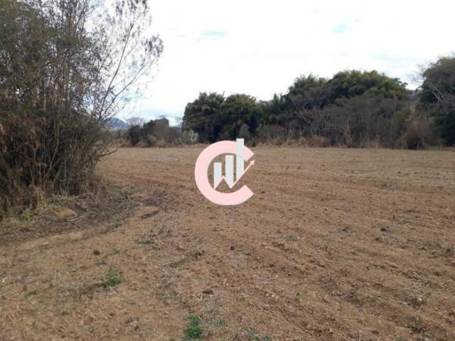 Sítio Dom Viçoso MG Produzindo, 30 hectares, 2000k