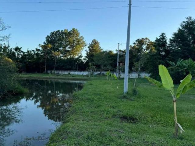 Sítio dos sonhos em Glorinha/RS