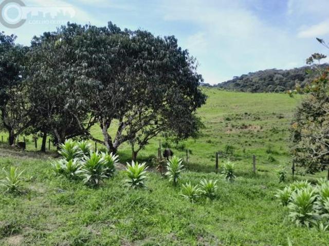 Sítio em 2 IRMÃOS Sete Barras SP