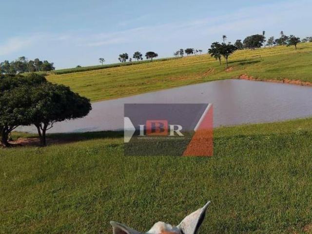 Sitio em Tanabi SP