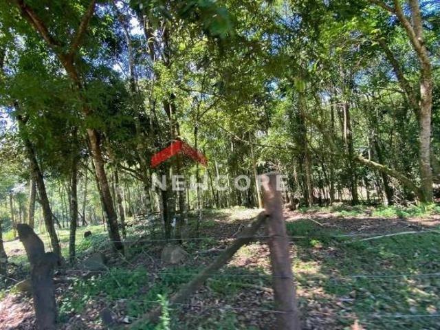 Sítio em Três Coroas Centro Três Coroas/RS