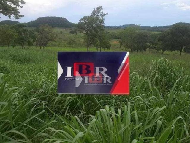 Sitio em Alcinopolis MS