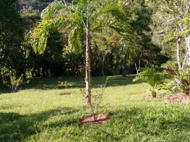 Sítio em Altos da Vila Paiva, São José dos Campos/SP de 0m² 4 quartos à venda por R$ 1.350.000,00