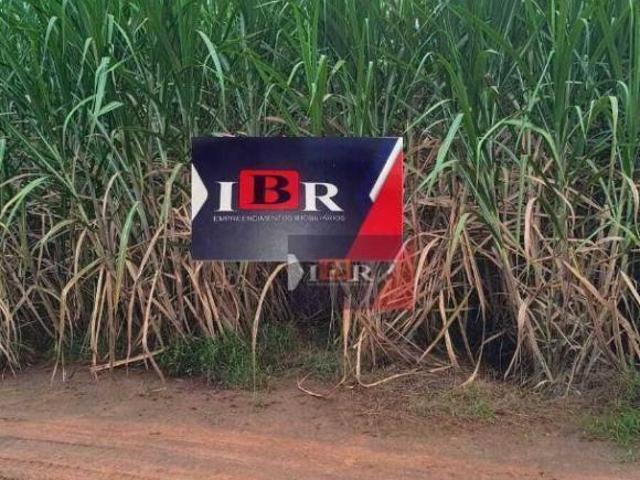 Sitio em Cardoso SP