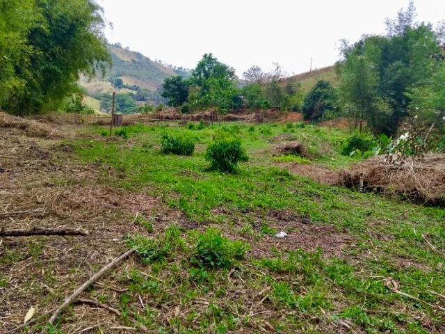 Sítio em Centro, São Lourenço/MG de 0m² 2 quartos à venda por R$ 1.598.700,00