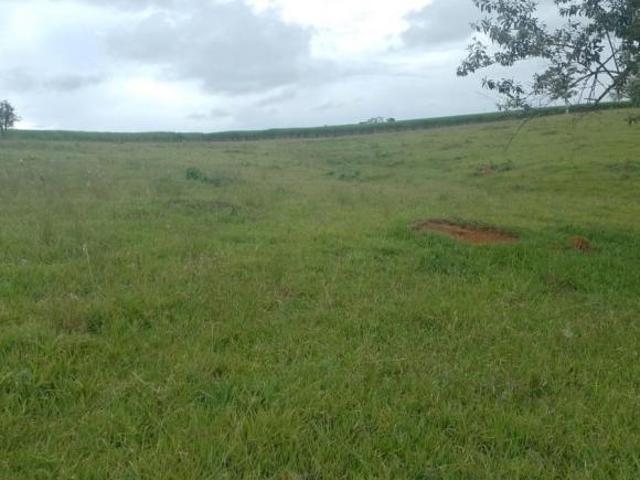 Sitio em cesario langer 5 alqueires Não tem casa Terra vermelha Valor 1.200,000,00