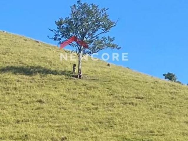 Sítio em Estrada da Aparecida Bairro da Barra Salesópolis/SP