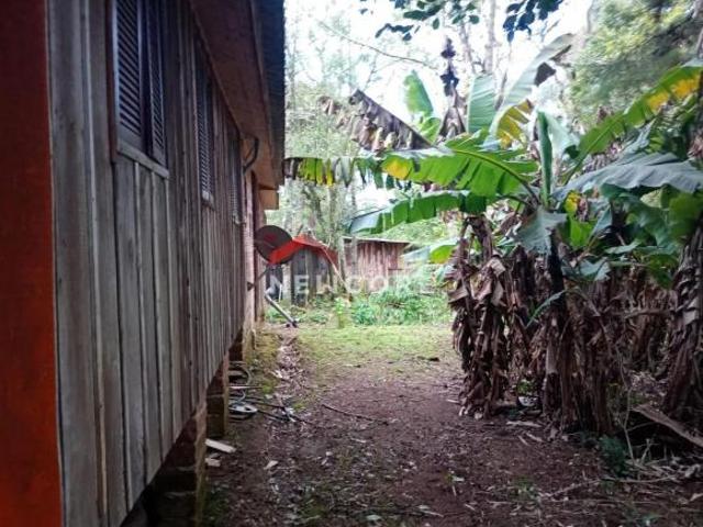 Sítio em Estrada das Lagoas Samambaia São Francisco de Paula/RS