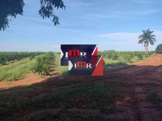 Sitio em Guaraci SP