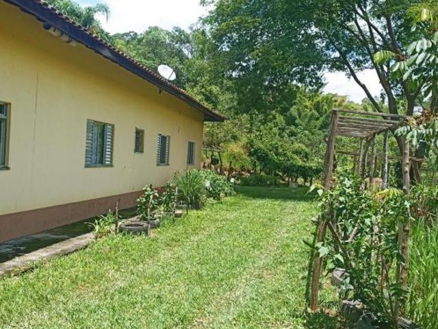 Sitio em jambeiro linda vista rico em água