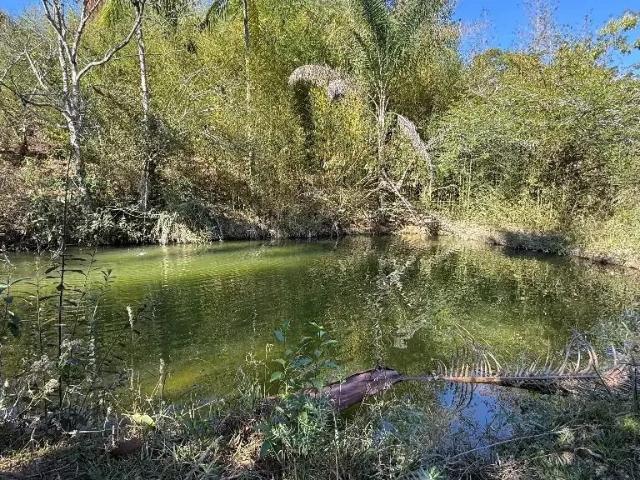 Sítio em Jacutinga, Jacutinga/MG de 0m² à venda por R$ 1.249.900,00