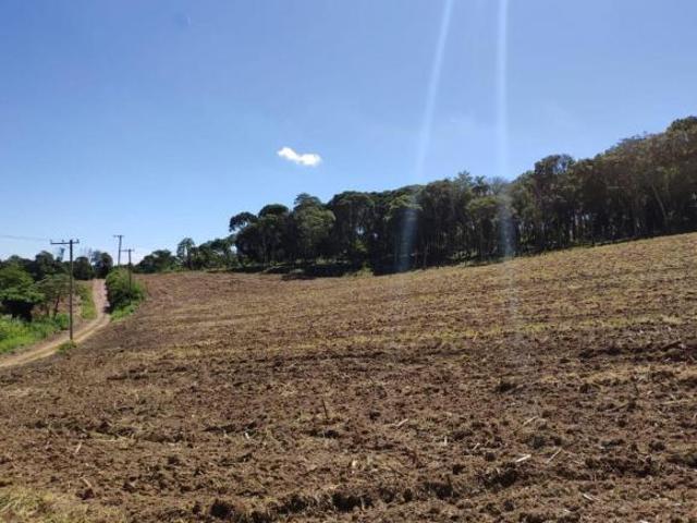 Sítio em Jardim Japão Caucaia do Alto, Cotia/SP de 200m² 4 quartos à venda por R$ 1.950.000,00