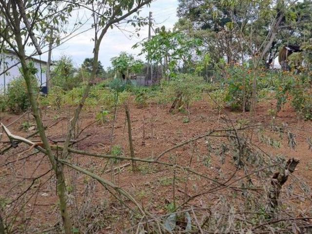 Sítio em Jardim Novo Horizonte, Suzano/SP de 800m² 4 quartos à venda por R$ 3.200.000,00