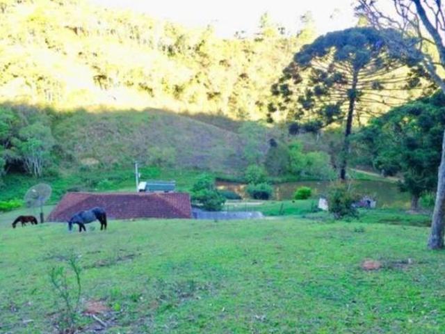 Sítio em Juquitiba