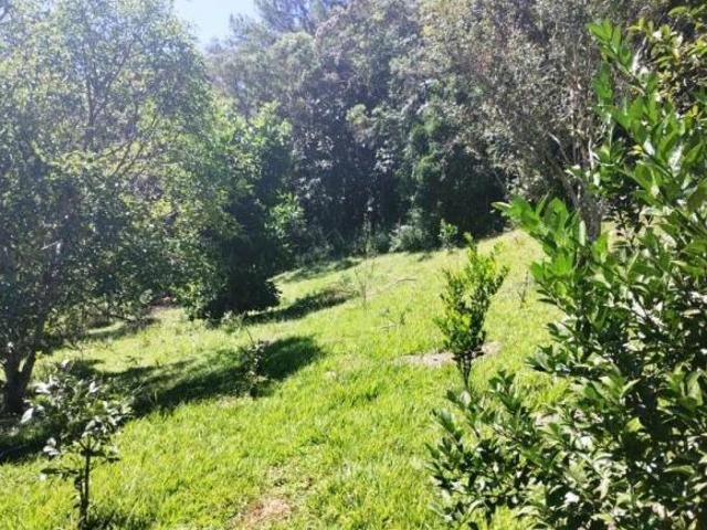 Sítio em Juquitiba com área de 24.000,00 m²