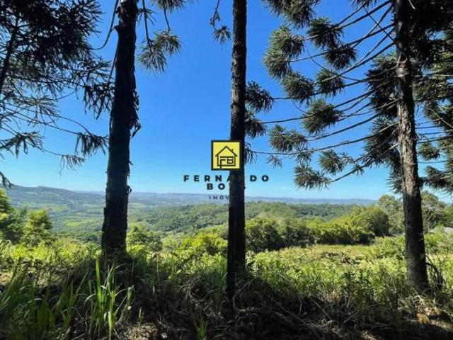 Sitio em Lajeadinho com Vista !