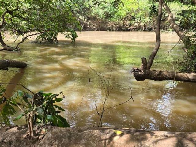 Sítio em Mirassolândia/SP, 14 ha, divisa com o rio Rio Preto