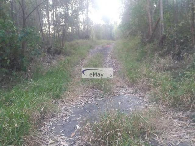 SÍTIO EM MORUNGABA