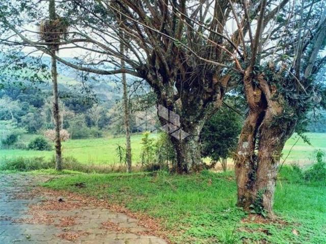 Sitio em Nova Petropolis