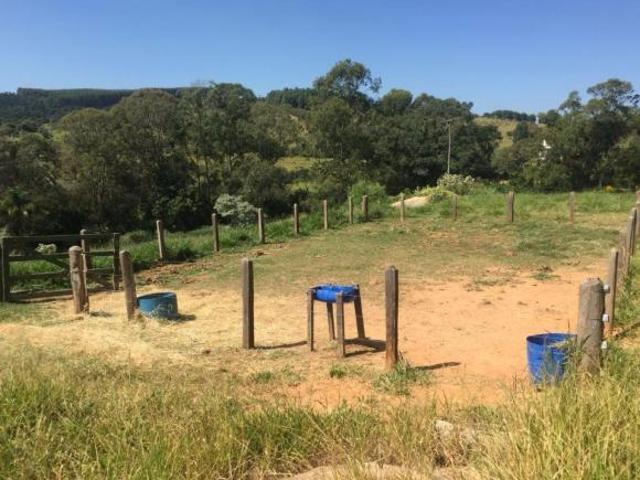 Sítio em, Pedreira/SP de 0m² 2 quartos à venda por R$ 1.400.000,00
