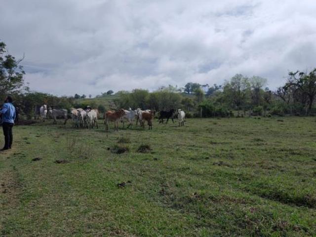 Sitio em porangaba ao lado da rodovia castelo branco 22.5 alqueires Com nascente Valor 3.350,000,0