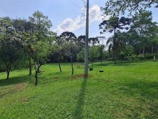 Sítio em Quatro Barras 150.000 m com casas, pomar, campo e mata nativa